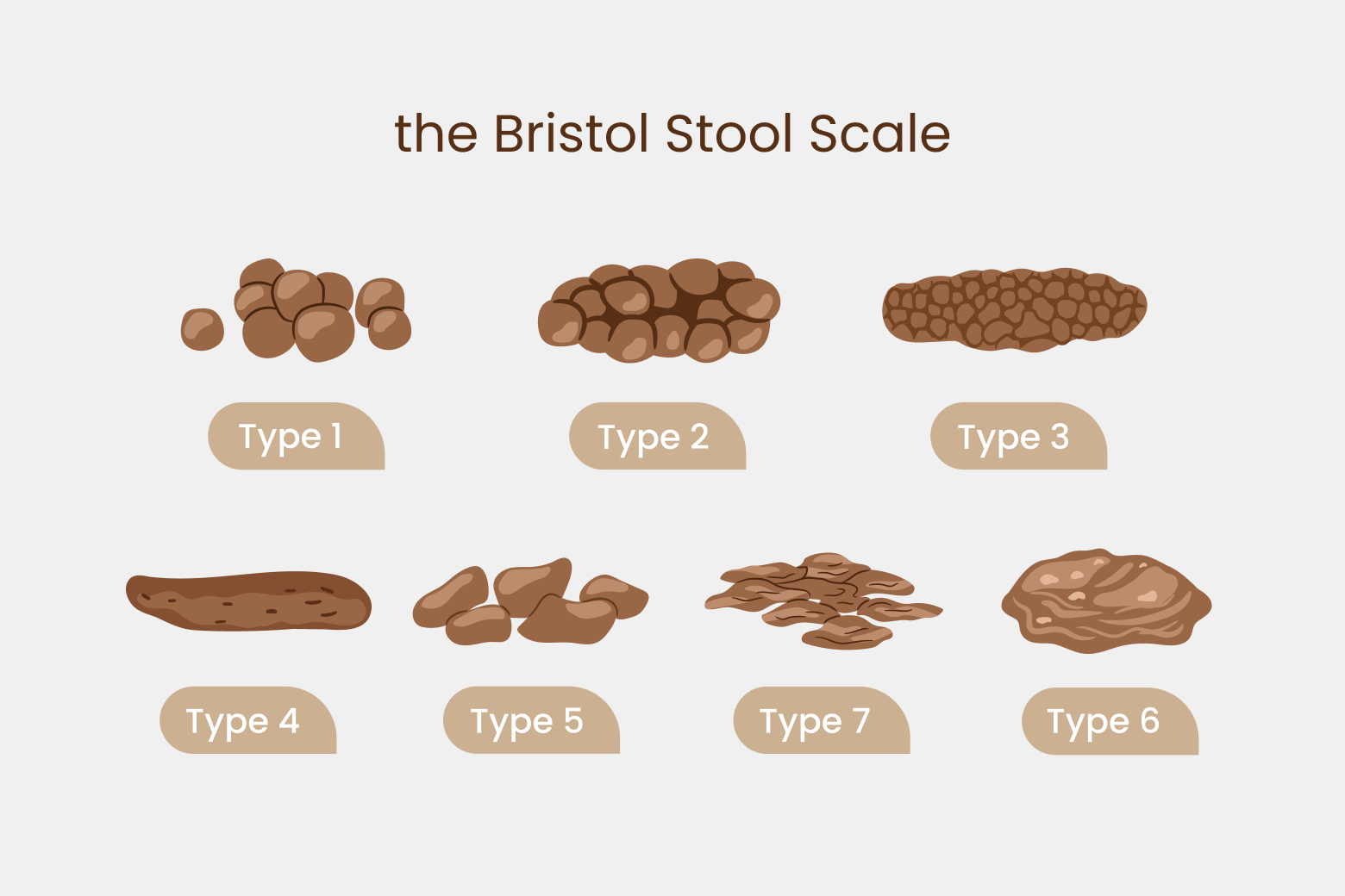 Bristol Stool Form Scale