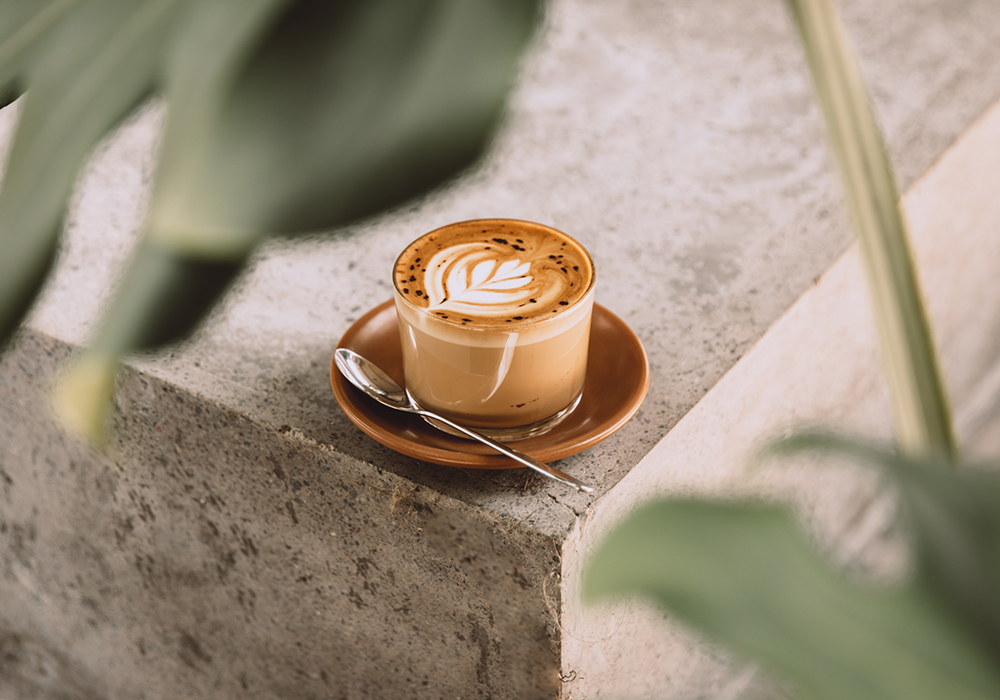 Coffee and Gut Health