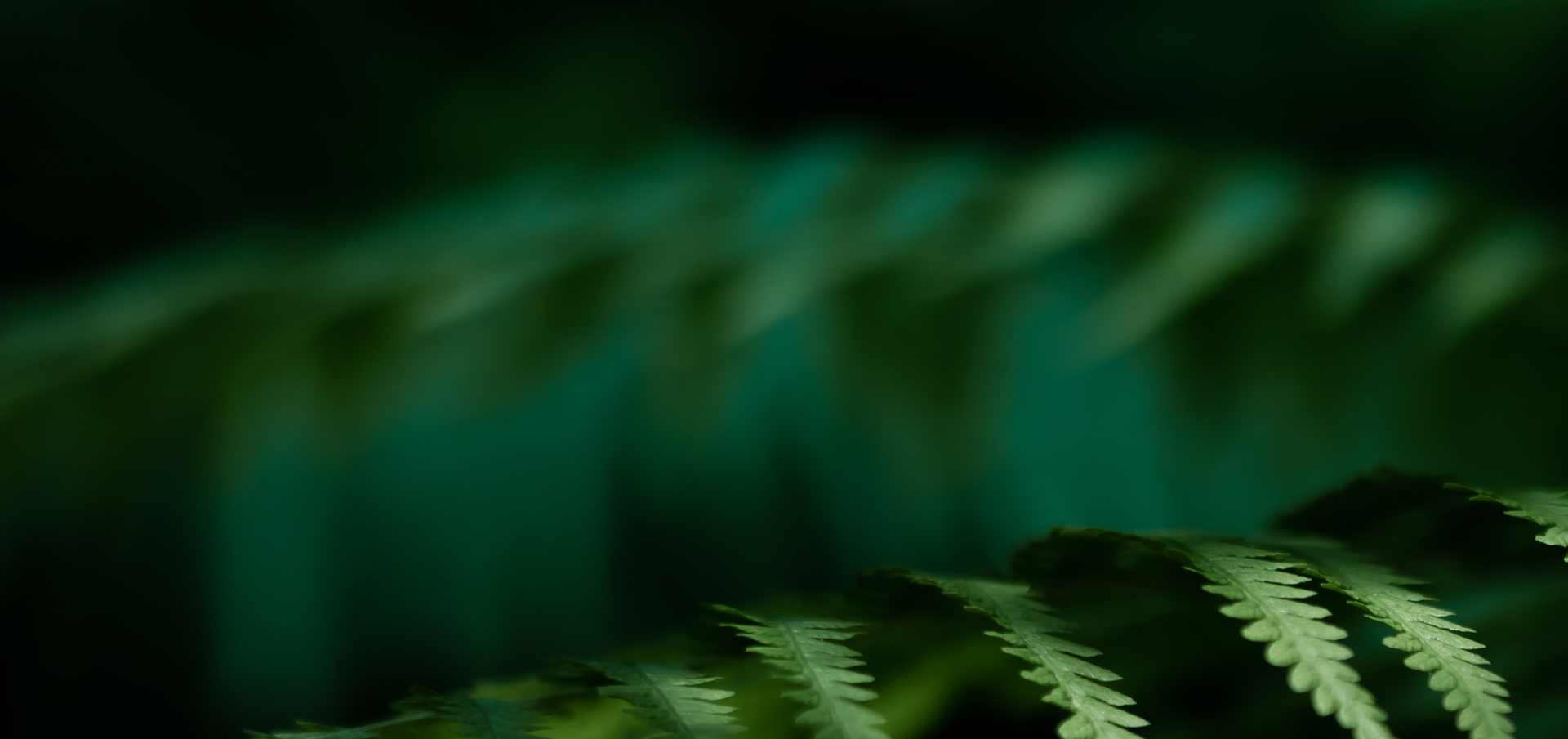 Evinature