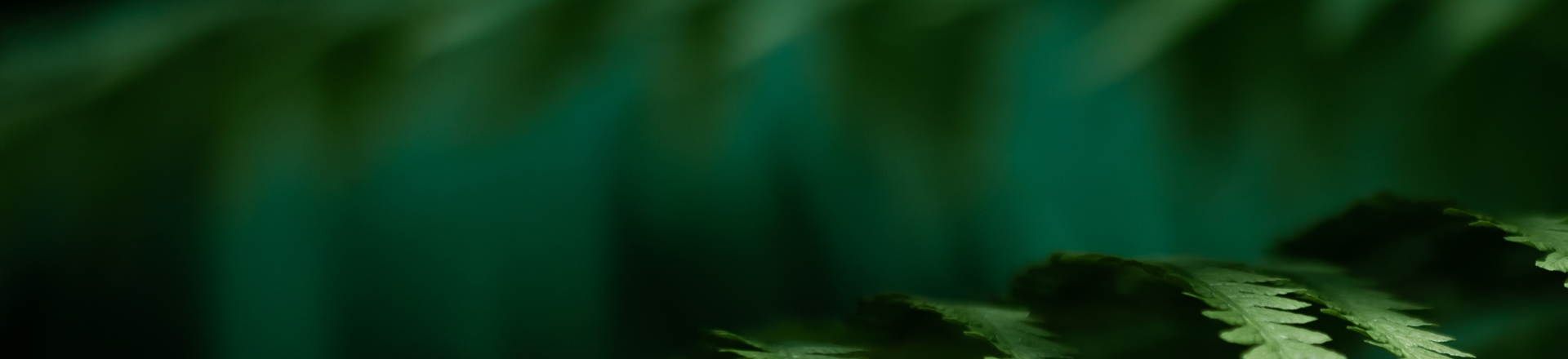 Evinature