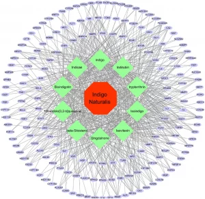A chart displays the many mechanisms of Indigo Naturalis